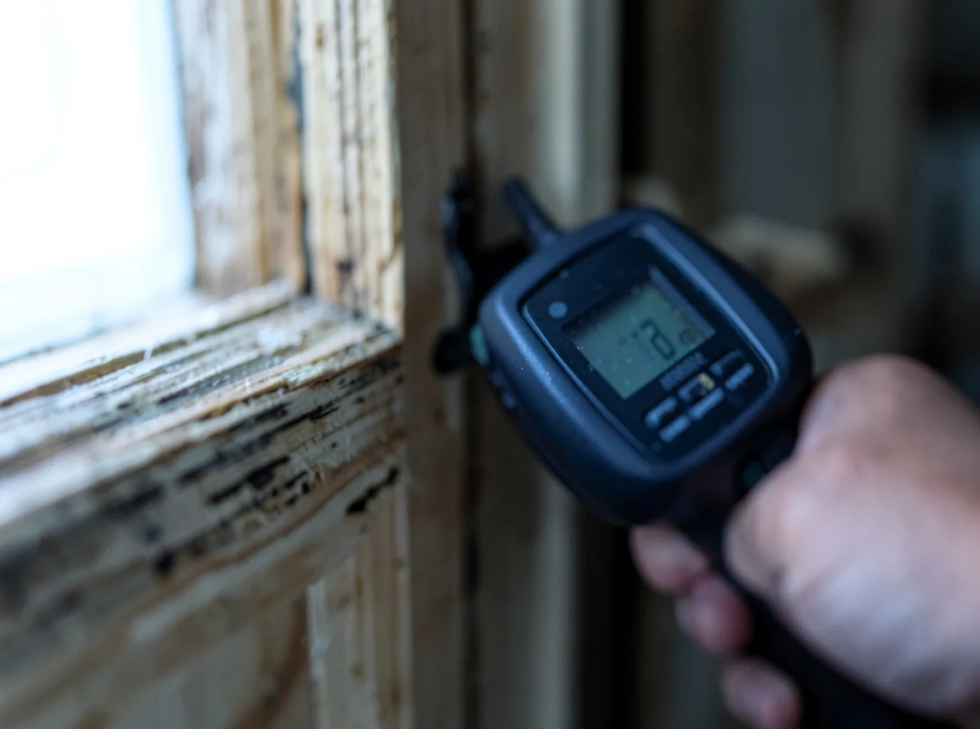 Moisture Inspection And Documentation in Bethlehem, KY